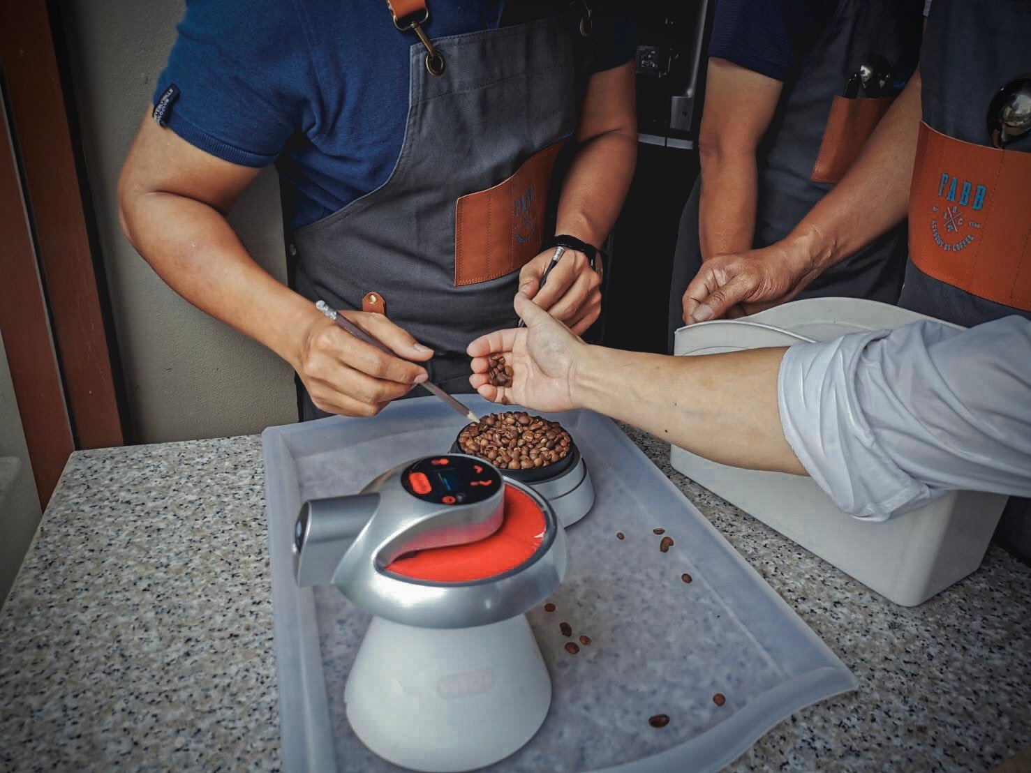 FABB AOC Basic Roasting (One Day Workshop)