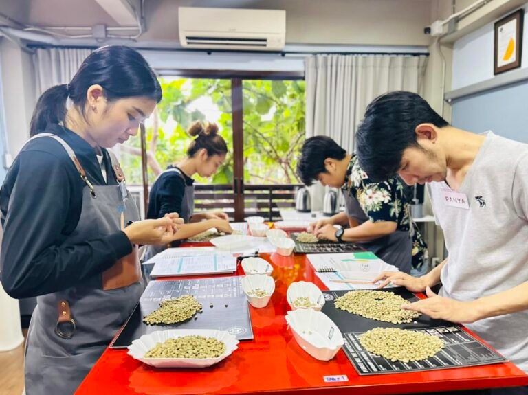 SCA CLASSES Green Coffee - Professional